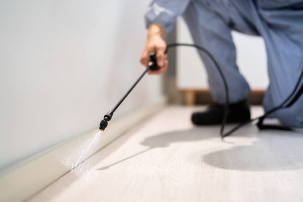 Licensed Pest Control service in Moorefield, WV - Show Me Pest Control