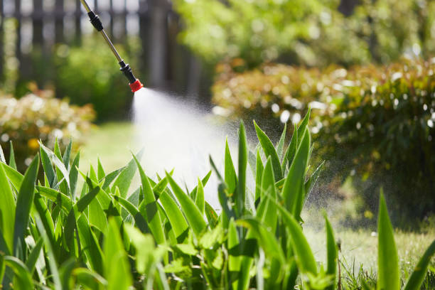 Tamper-Resistant Bait Stations for Rodents in Moorefield