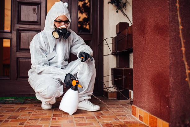 Attic and Crawl Space Rodent Treatment in Moorefield