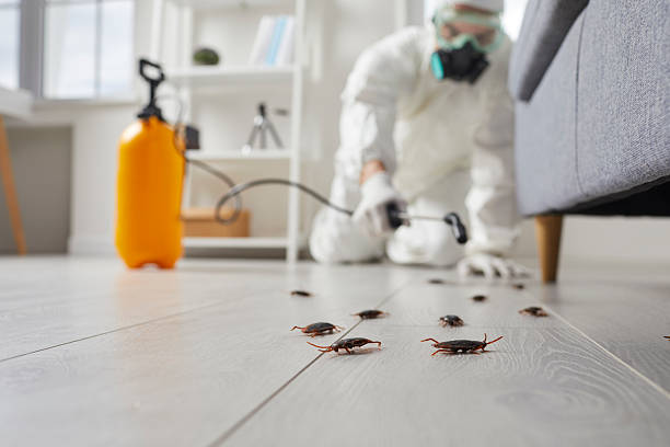 Commercial Rodent Management in Moorefield